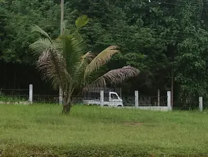 Land for Sale Kurunegala