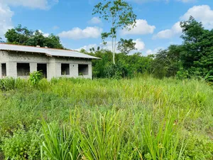 ඇල්පිටිය කුරුදුගහහැතැක්ම ඇල්ල පාරේ වටිනා බිම් කොටසක් විකිණීමට ඇත.Land