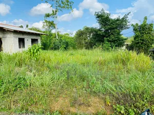 ඇල්පිටිය කුරුදුගහහැතැක්ම ඇල්ල පාරේ වටිනා බිම් කොටසක් විකිණීමට ඇත.Land