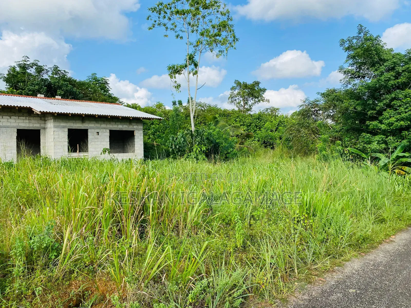 ඇල්පිටිය කුරුදුගහහැතැක්ම ඇල්ල පාරේ වටිනා බිම් කොටසක් විකිණීමට ඇත.Land