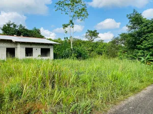 ඇල්පිටිය කුරුදුගහහැතැක්ම ඇල්ල පාරේ වටිනා බිම් කොටසක් විකිණීමට ඇත.Land
