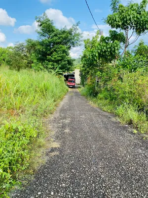 ඇල්පිටිය කුරුදුගහහැතැක්ම ඇල්ල පාරේ වටිනා බිම් කොටසක් විකිණීමට ඇත.Land