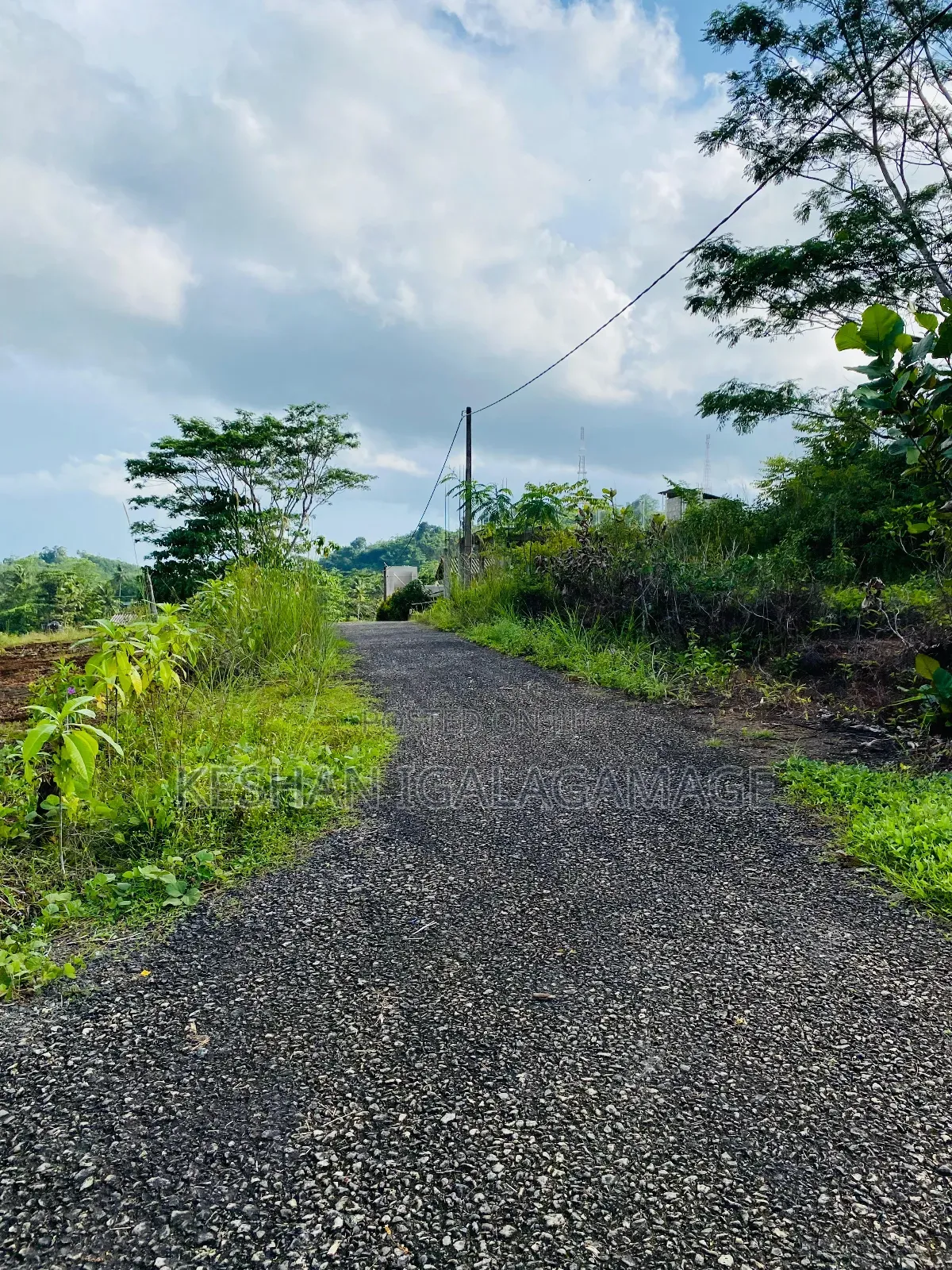 ඇල්පිටිය කුරුදුගහහැතැක්ම ඇල්ල පාරේ වටිනා බිම් කොටසක් විකිණීමට ඇත.Land