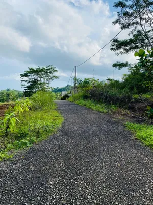 ඇල්පිටිය කුරුදුගහහැතැක්ම ඇල්ල පාරේ වටිනා බිම් කොටසක් විකිණීමට ඇත.Land