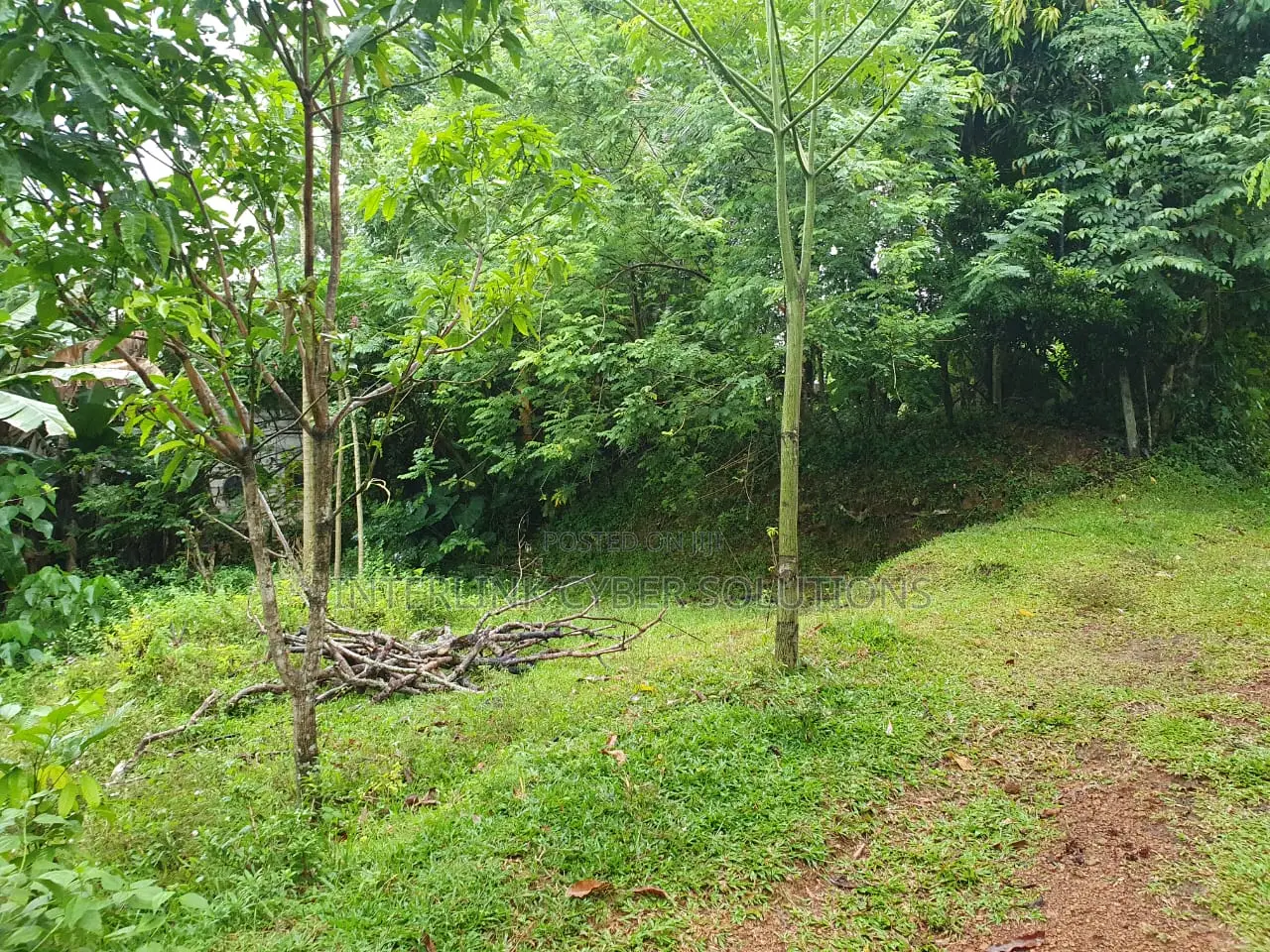 10p Land for Sale in Maggona, Munhena