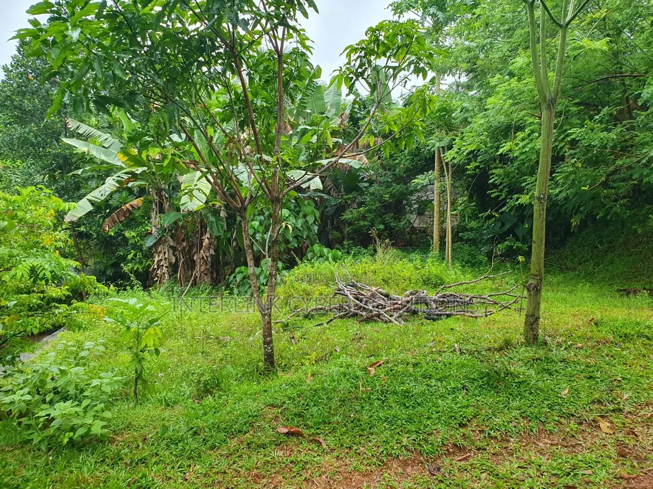 10p Land for Sale in Maggona, Munhena