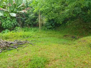 10p Land for Sale in Maggona, Munhena