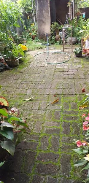 Land With Two Old Houses in Pannipitiya