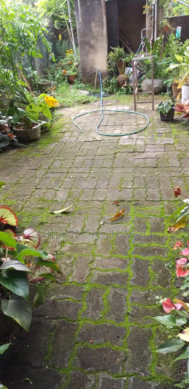 Land With Two Old Houses in Pannipitiya