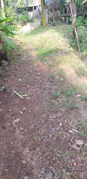 Land With Two Old Houses in Pannipitiya