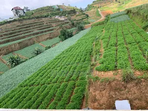 Land for Sale ( Including the House) Ideal for Investment Purpose