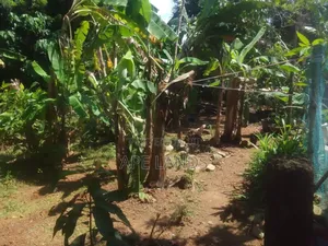 Land for Sale in Hikkaduwa