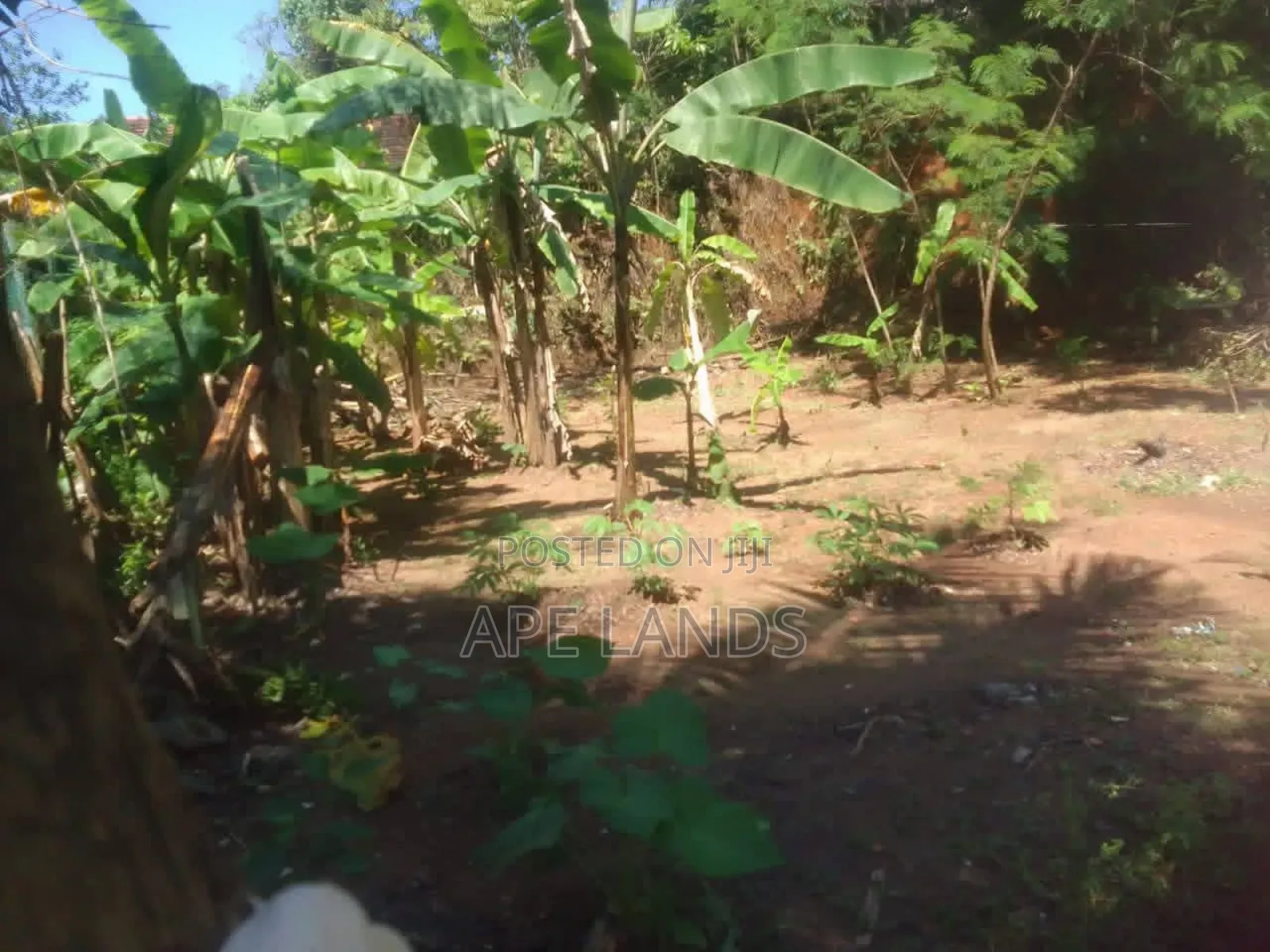 Land for Sale in Hikkaduwa