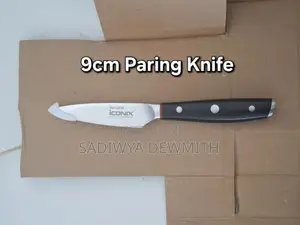 Original Baccarat Iconix Drenhen 9-Piece Knife Block