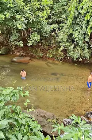 House Of Jesse Church Services