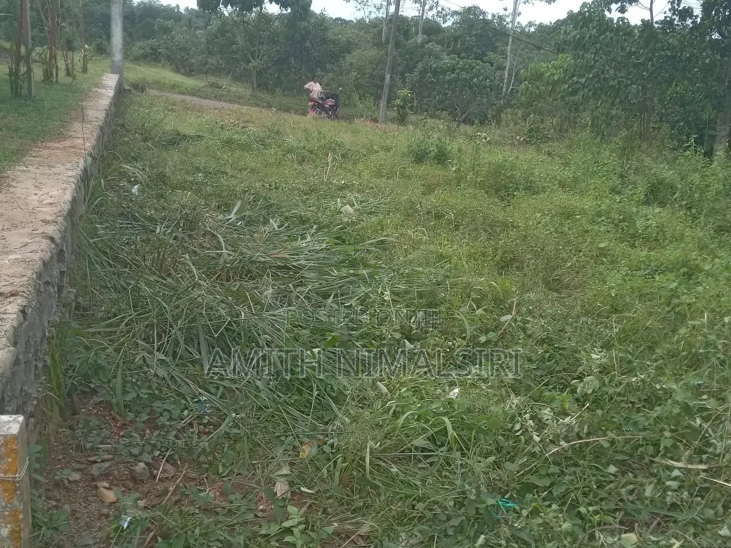 Amith Nimalsiri පර්යේෂණ 13.2 විකිණීමට