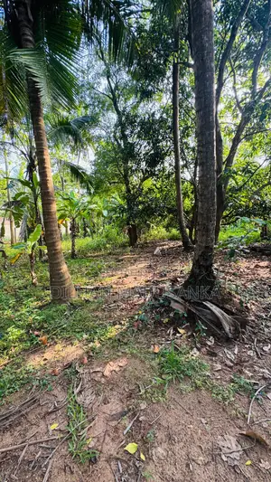 Land Building for Sale