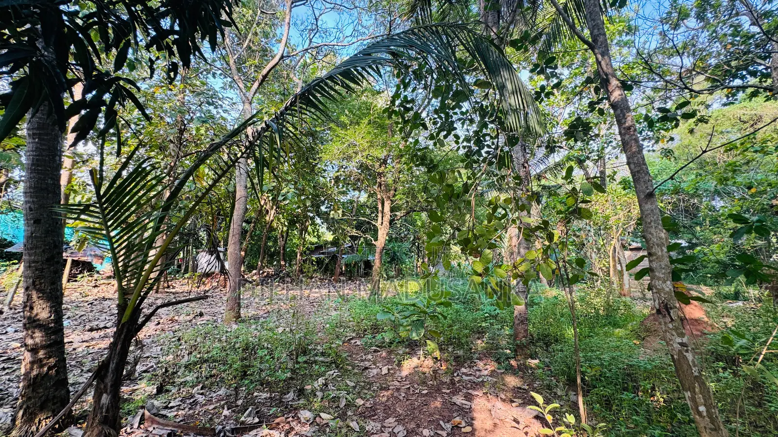 Land Building for Sale