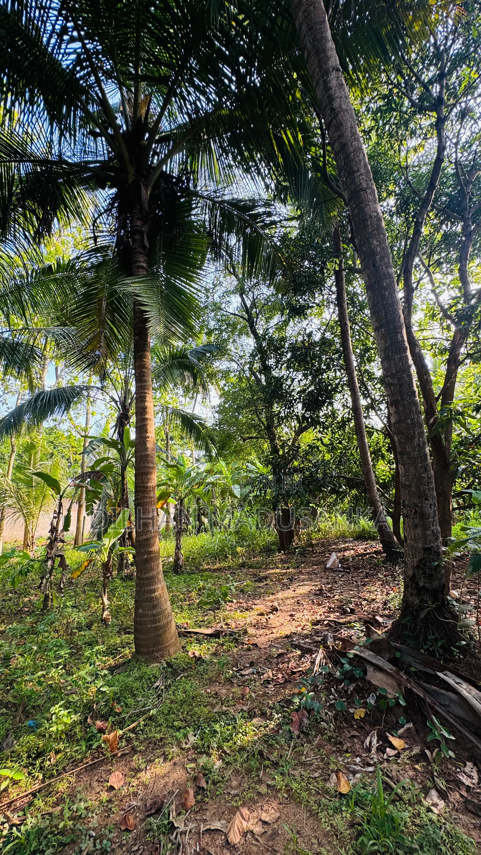 Land Building for Sale