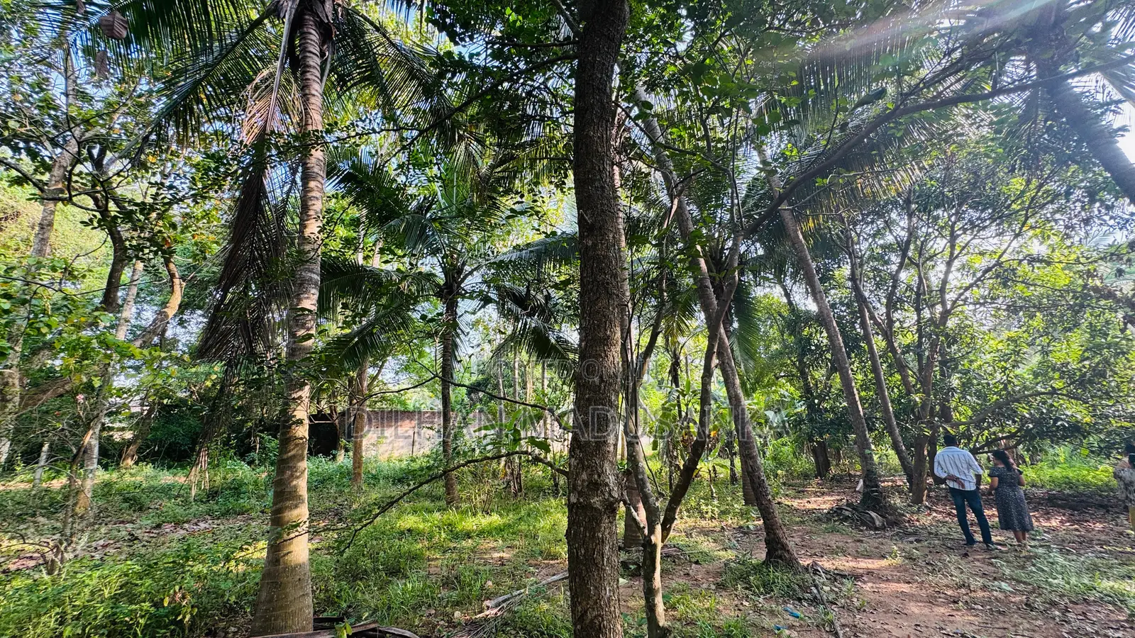 Land Building for Sale