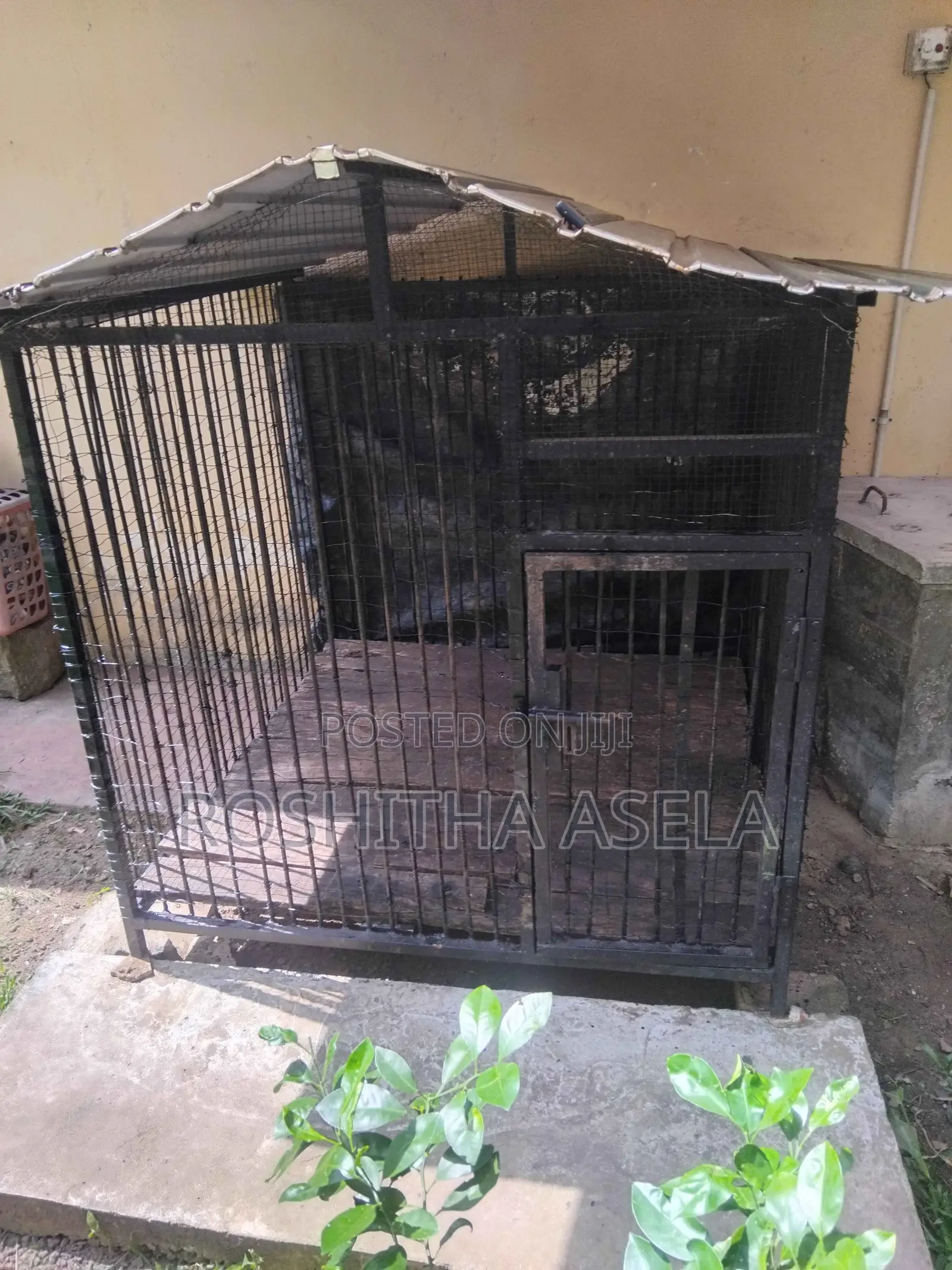 Big Steel Dog Cage