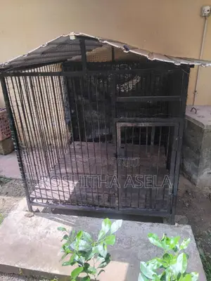 Big Steel Dog Cage