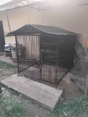 Big Steel Dog Cage