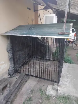 Big Steel Dog Cage