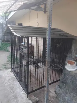 Big Steel Dog Cage