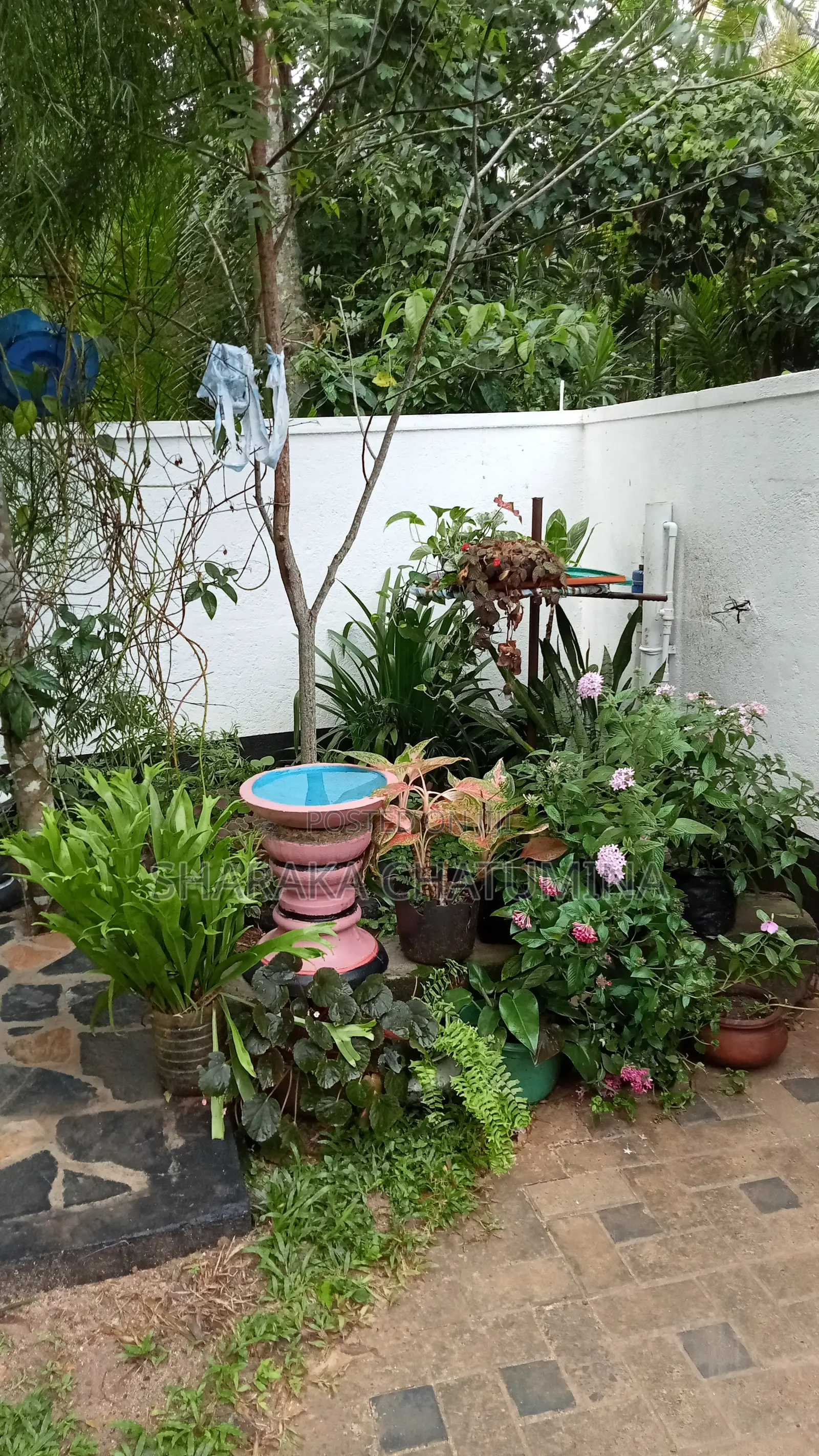 Furnished 1bdrm Villa in New Look Villa, Kamburugamuwa for rent