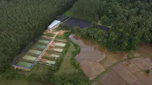 Ornamental Fish Farm for Sale