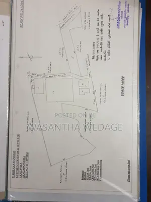 Ornamental Fish Farm for Sale