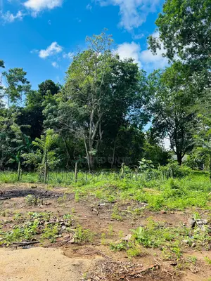 Anuradhapura Mathale Junction