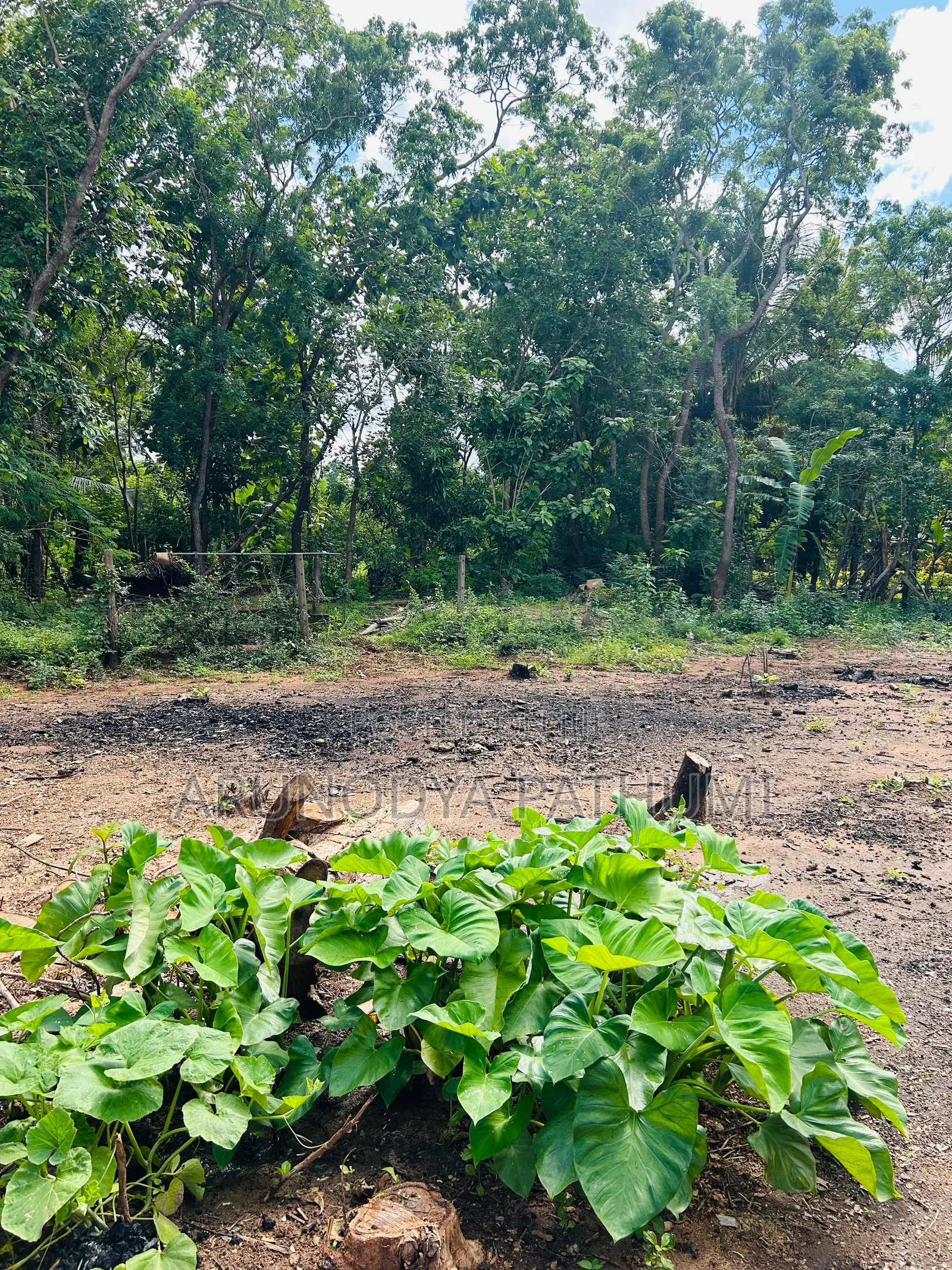 Anuradhapura Mathale Junction