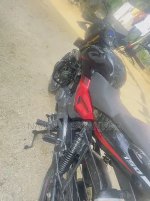 New Bajaj Pulsar 150 2019 Red