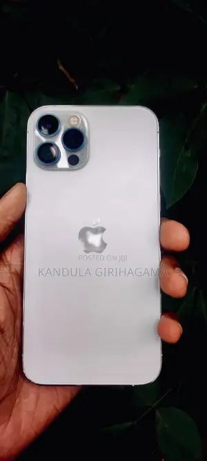 Apple iPhone 12 Pro 256 GB Silver