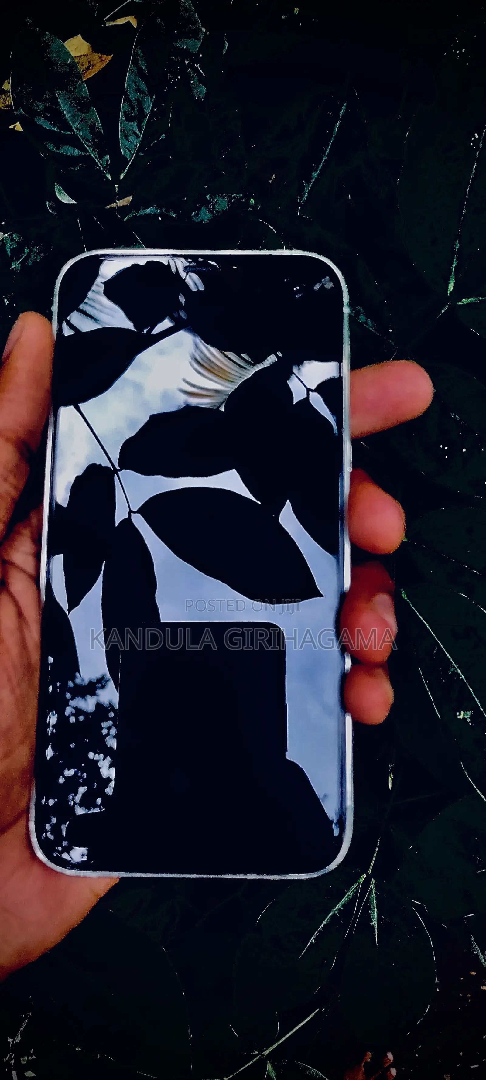 Apple iPhone 12 Pro 256 GB Silver