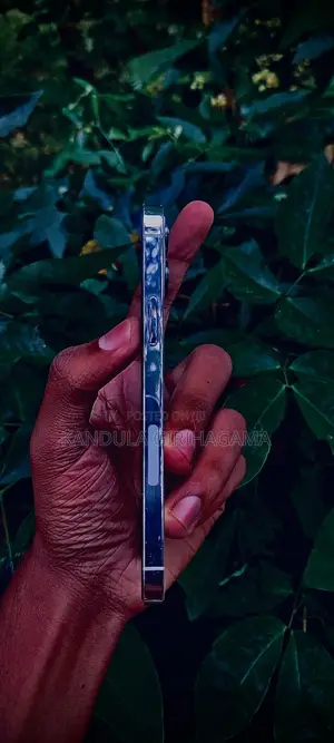 Apple iPhone 12 Pro 256 GB Silver