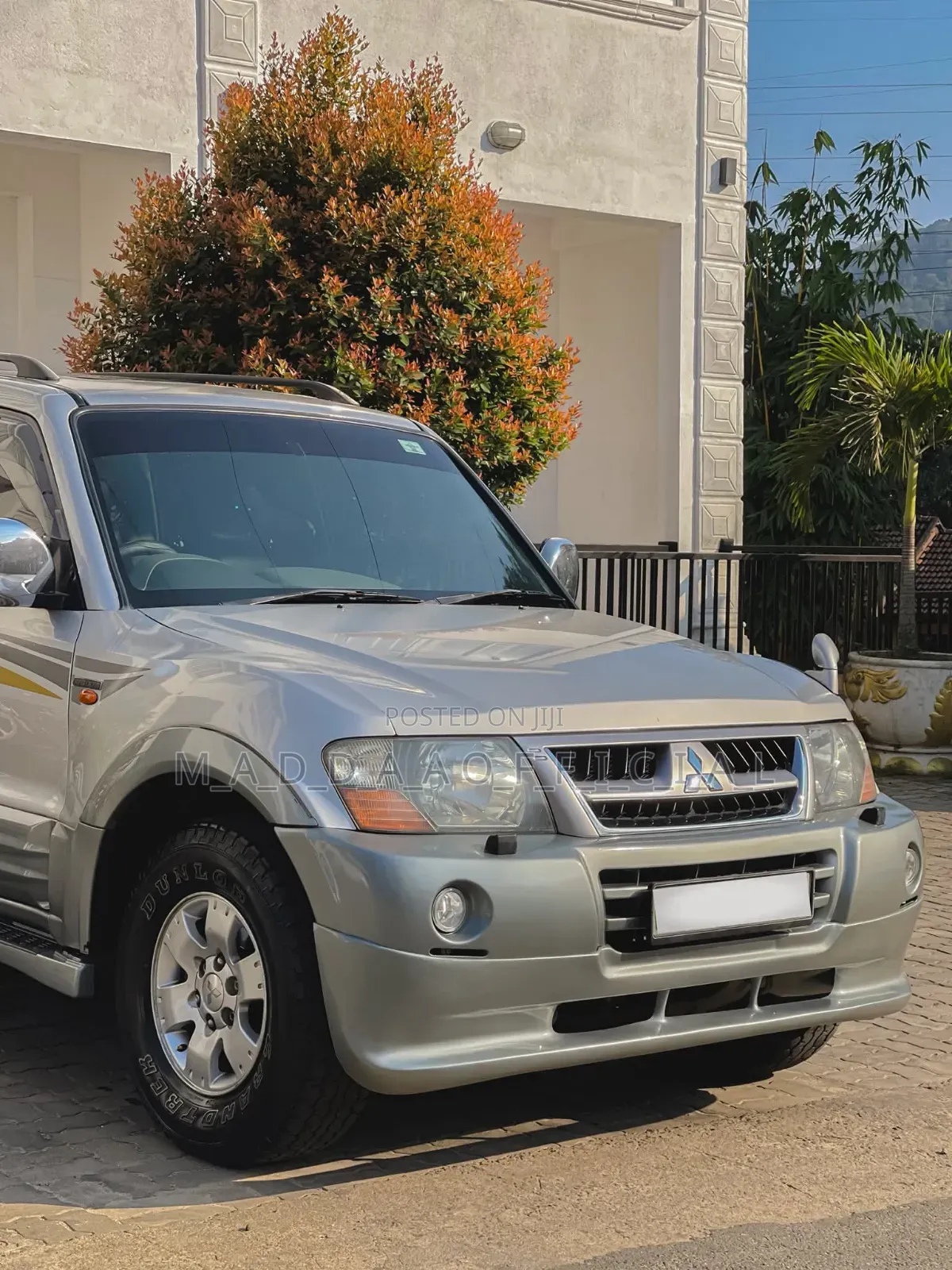 Mitsubishi Montero 2004 Gray