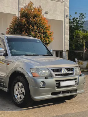 Mitsubishi Montero 2004 Gray