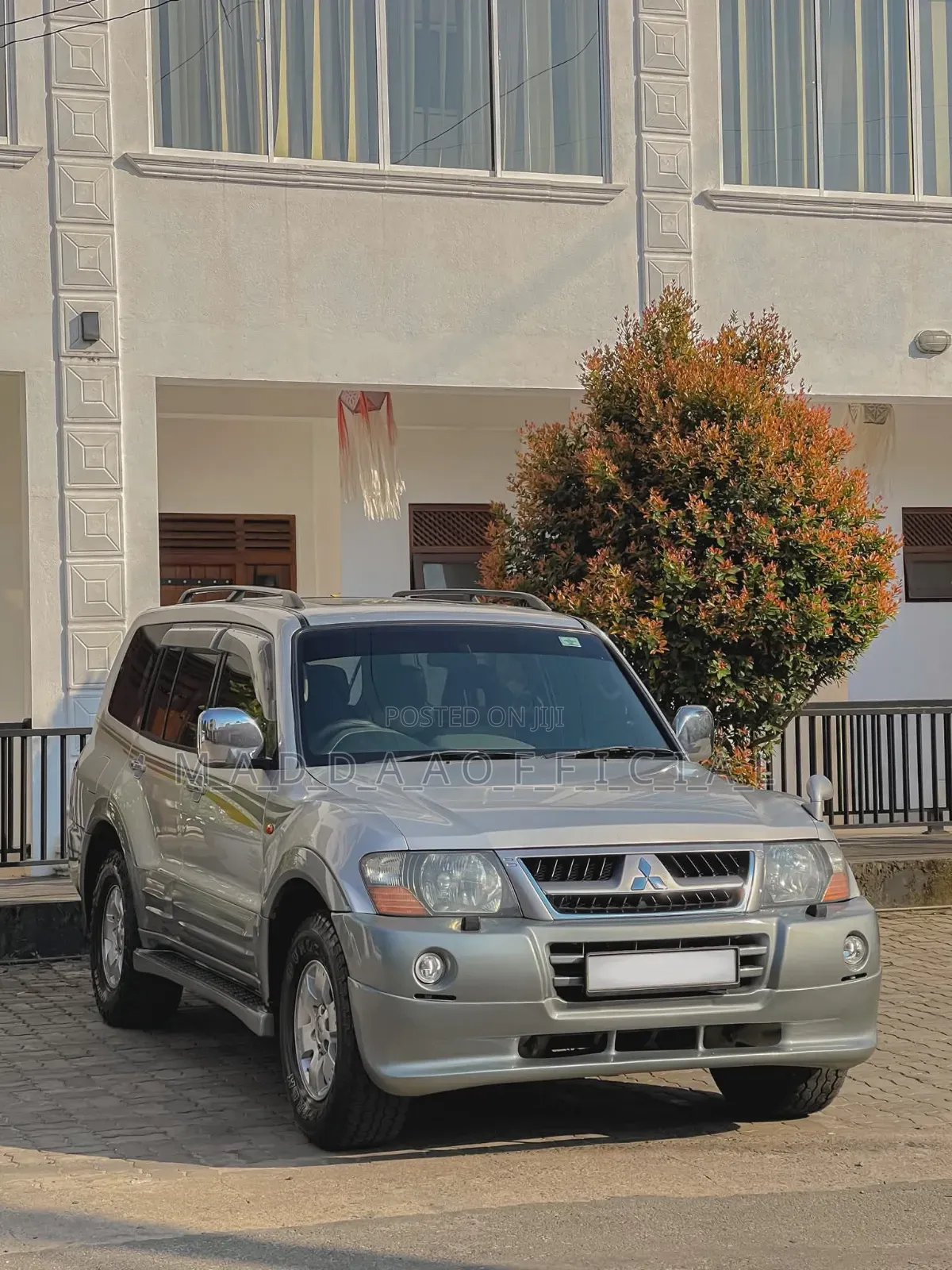 Mitsubishi Montero 2004 Gray