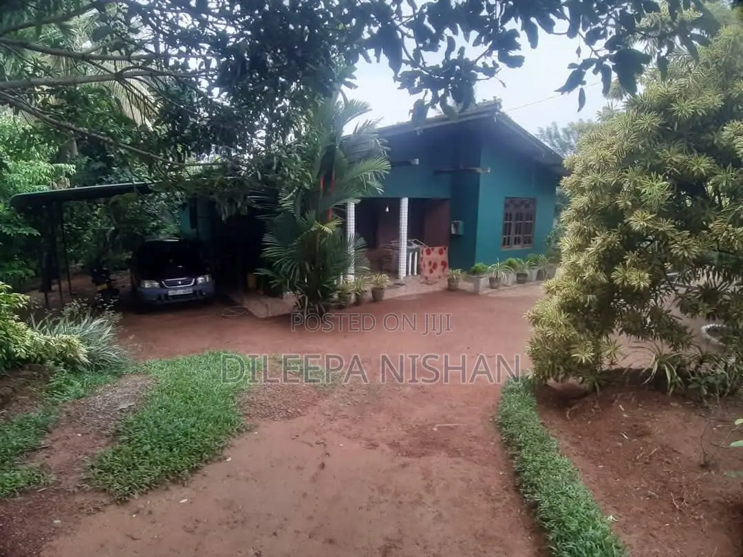 Parch 24 , Kadawatha