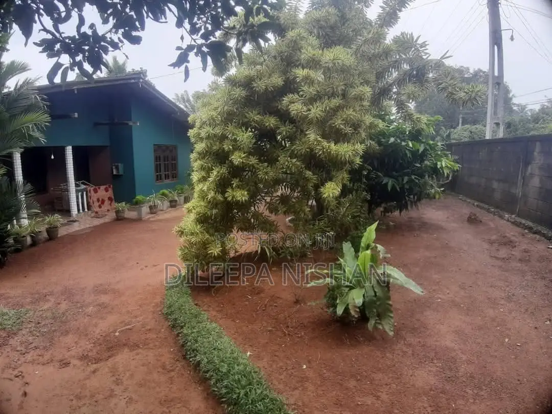 Parch 24 , Kadawatha