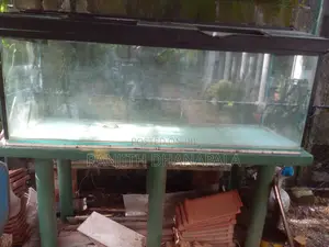 6'x2' Glass Fish Tank