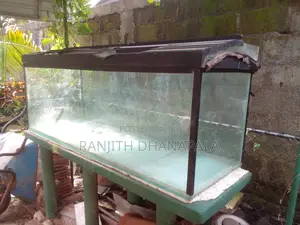 6'x2' Glass Fish Tank