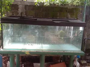 6'x2' Glass Fish Tank