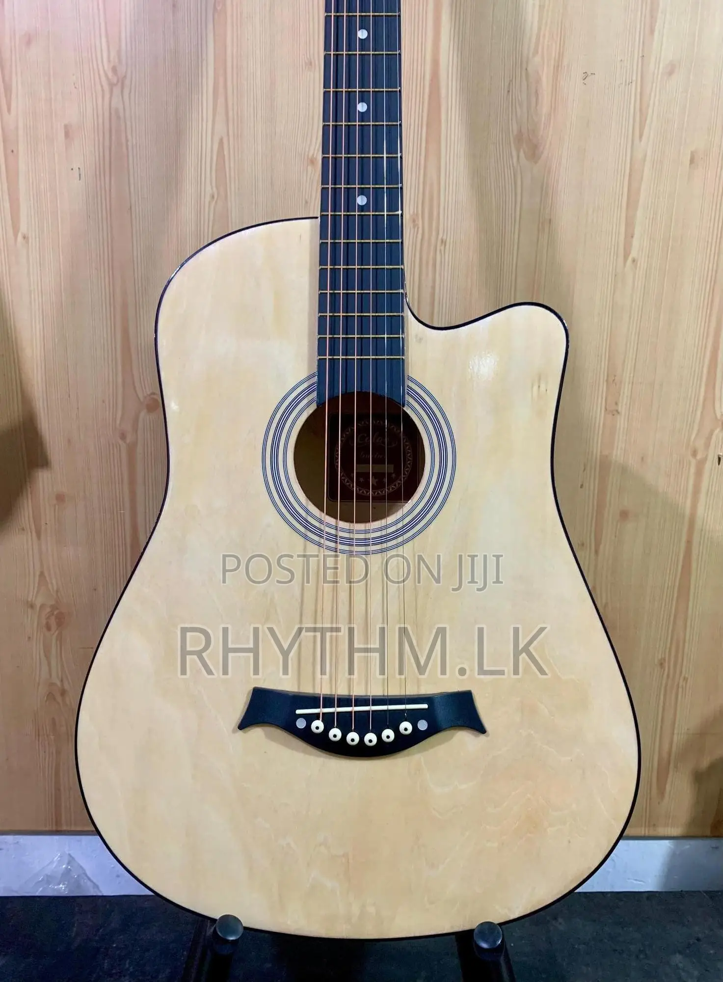 Brand New Acoustic Guitars (Size 38") for the Lowest Price in Sl