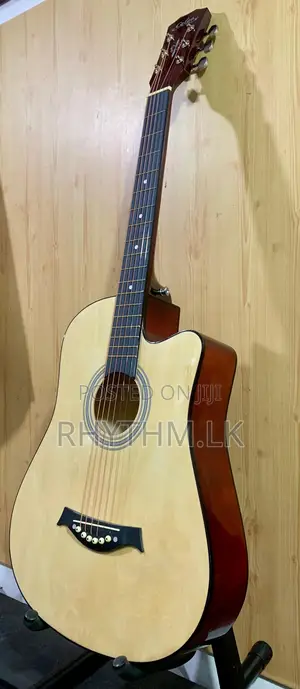 Brand New Acoustic Guitars (Size 38") for the Lowest Price in Sl