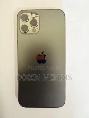 Apple iPhone 12 Pro 256 GB Gray