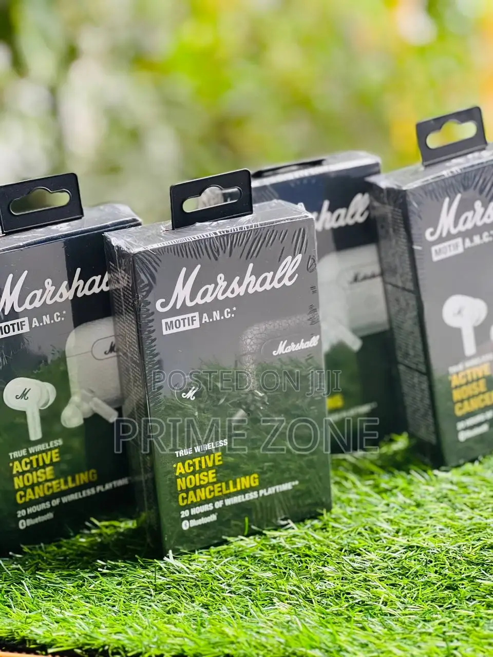 Marshall Motif Anc Earbuds